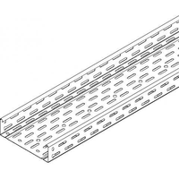Niedax RLC kabelgoot geperforeerd staal 60x300mm (HxB) - lengte van 3 meter (160143)