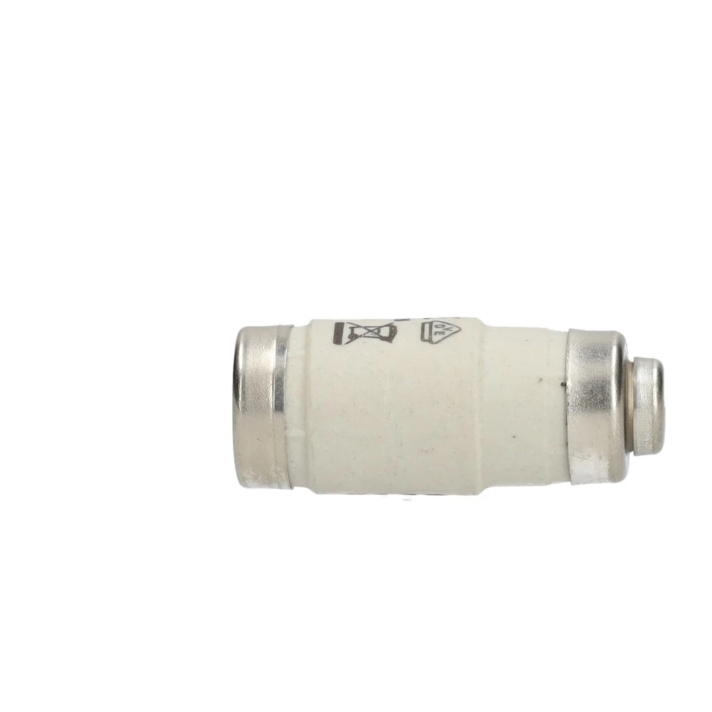 Miniatuur van fleszekering D02 35A (51258)