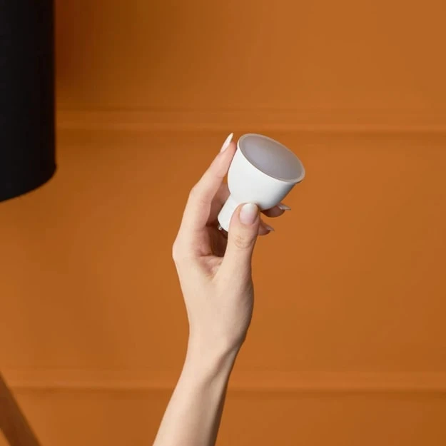 Miniatuur van Shelly LED lamp GU10 5W RGWB met Wi-Fi (S-BuGDRGBW)