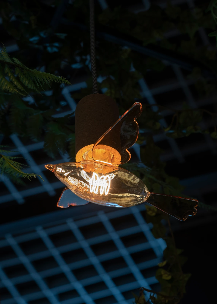 A_BirdGold_143625_singleplant - kopie.jpg