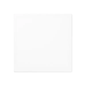 Miniatuur van JUNG AS500 Blindplaat (A594-0PLWW)