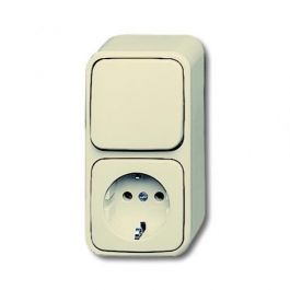 bleek geboorte voor de hand liggend ABB Busch-Jaeger opbouw combinatie wandcontactdoos met randaarde en  schakelaar (2CKA001641A0182) | Elektramat