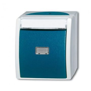 ABB Busch-Jaeger 2621 WN-53-201 BUS TEKSTPULSDR.1P MAAK OPB (2621 WN-53-201)