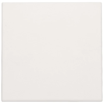 Niko spuitwaterdichte blindplaat white (101-76901)