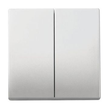 ABB Busch-Jaeger Friends of Hue schakelaar - RVS (6736 FoH-866)