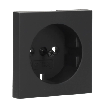 Gira losse SCHUKO-centraalplaat(geleverd zonder stopcontact) - Systeem 55 zwart mat (4920005)