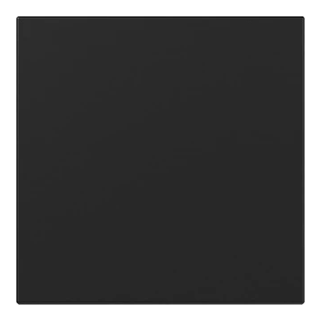 Gira system 55 rechtstaande wip voor wipdrukcontact en tastschakelaar - zwart mat (3496005)