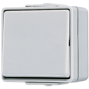 JUNG opbouw serieschakelaar 10A met onderkast IP44 - WG600 grijs (605W)