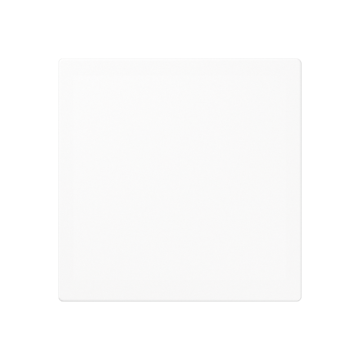 JUNG AS500 Blindplaat (A594-0PLWW)