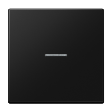 JUNG schakelwip LS990 met lens controle schakelaar - grafietzwart (LS990KO5SWM)