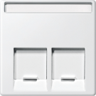 Schneider Electric systeem M centraalplaat voor RJ45 2-voudig - polarwit (MTN469919)