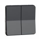 Schneider Electric opbouw dubbele wisselschakelaar IP55 - Mureva Styl antraciet (MUR35019)