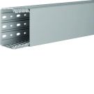 Hager Tehalit BA7 bedradingskoker inclusief deksel 60x100mm (HxB) - grijs per 2 meter (BA760080)