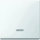 Merten by Schneider Electric systeem M wip met controlevenster - polarwit (MTN436019)