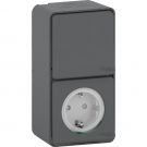 Schneider Electric stopcontact met wisselschakelaar opbouw IP55 - Mureva Styl mat grijs (MUR36024)