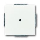 ABB Busch-Jaeger 1749-884 BJ CPL 1xUIT BORING 10MM F (1749-884)