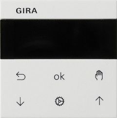 Gira S3000 jl.- + schakelklok Display System 55 z.wit