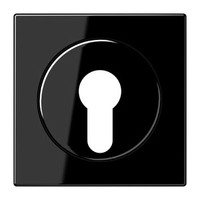 JUNG LS990 centraalplaat voor sleutelschakelaar zwart