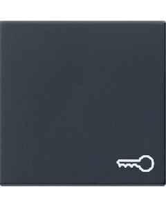 Gira schakelwip Symbool sleutel - systeem 55 zwart mat (0287005)