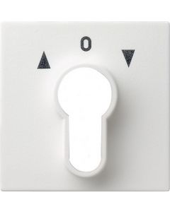 Gira centraalplaat sleutelschakelaar/sleuteldrukcontact - systeem 55 zuiver wit mat (066427)