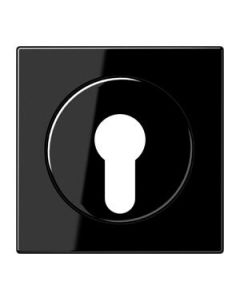 JUNG LS990 centraalplaat voor sleutelschakelaar zwart