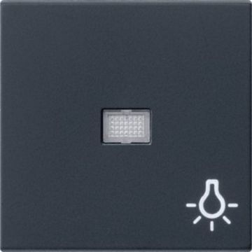 Gira wip met groot controlevenster en lichtsymbool - systeem 55 zwart mat (0630005)