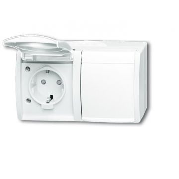 ABB Busch-Jaeger opbouw wandcontactdoos 2v ip 44 (20/2 EBW-54)