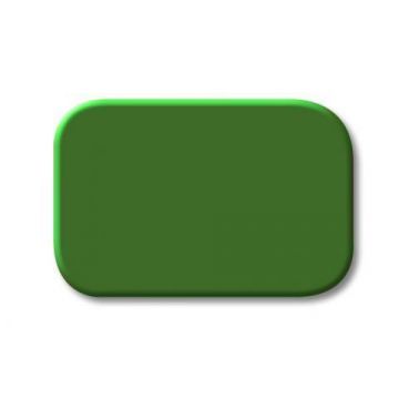 ABB Busch-Jaeger 2525-13 BJ BJ 2525-13 GROENE LENS (2525-13)