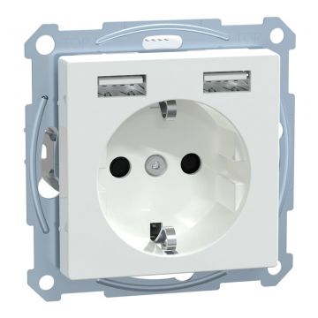 Merten by Schneider Electric wandcontactdoos systeem M dubbele USB-poort 2.4 16A (MTN2366-0325)