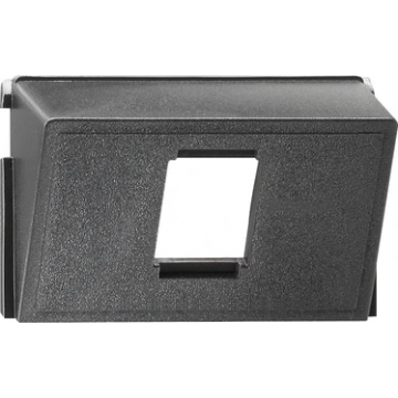 Gira insteek datakap voor AMP/Radiall accessoires (005200)