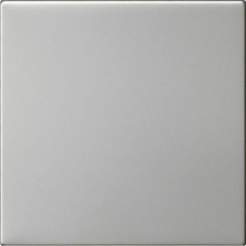 Gira S3000 bed.el.-op.st. System 55 edelstaal