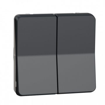 Schneider Electric opbouw dubbele wisselschakelaar IP55 - Mureva Styl antraciet (MUR35019)