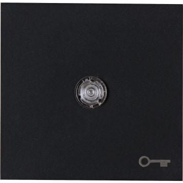 Kopp bedieningswip met lens en sleutel symbool - HK07 mat zwart (490467006)
