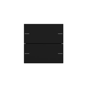 Gira bedieningswip 2-voudig voor tastsensor 4 - Systeem 55 zwart mat (5752005)