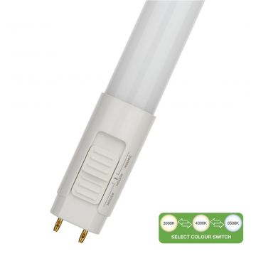 Bailey LED buis TL ecoplus T8 9W 990lm CCT 60cm (145866)