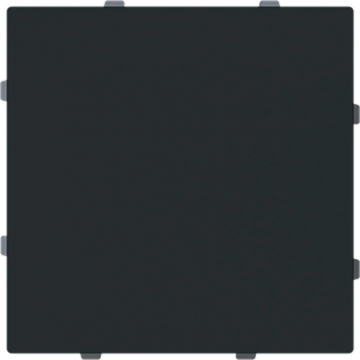 ABB Busch-Jaeger blindplaat met draagring - Art Linear zwart mat (2CKA001710A4214)