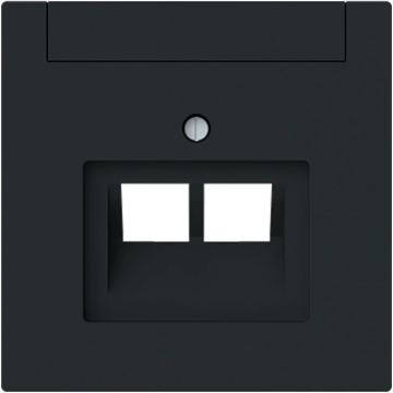 ABB Busch-Jaeger centraalplaat voor datadoos 2 x RJ45 - Art Linear zwart mat (1803-02-45M)