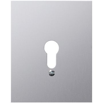 Gira Metalen afdekking zonder symbolen 125x100mm SW opbouw aluminium
