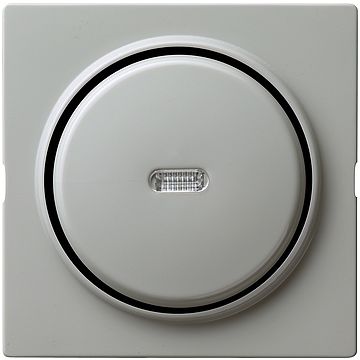 Gira S-color wisseldrukcontact met wip, afdekking en controlevenster grijs