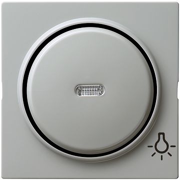 Gira S-color afdekking wip met controlevenster en licht symbool grijs