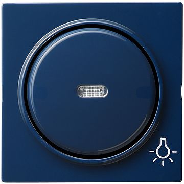 Gira S-color afdekking wip met controlevenster en licht symbool blauw