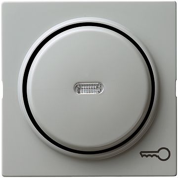 Gira S-color afdekking wip met controlevenster en deur symbool grijs