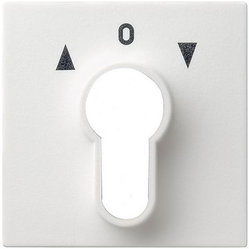Gira centraalplaat sleutelschakelaar/sleuteldrukcontact - systeem 55 zuiver wit mat (066427)