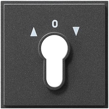 Gira TX_44 afdekking voor sleutelschakelaar/drukcontact antraciet