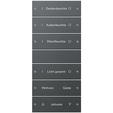 Gira Wippenset 6-voudig (3+3) beschijfbaar - systeem 55 antraciet (gelakt) (220628)