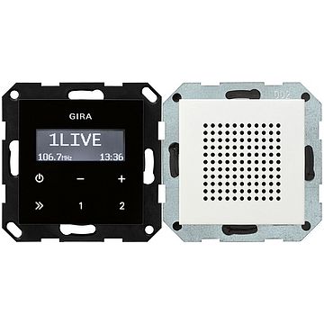 Gira IB-radio RDS luidspreker - system 55 zuiver wit glanzend (228003)