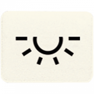 JUNG 33L JUN INZETSTUK LICHTSYMB.WIT