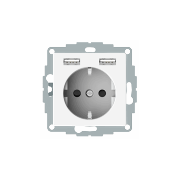 Merten by Schneider Electric wandcontactdoos systeem dubbele USB-poort 2.4A 16A (MTN2366-0319)