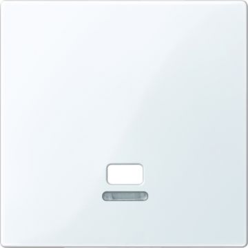 Schneider Electric systeem M centraalplaar met controlevenster voor trekschakelaar - actief wit glanzend (MTN3380-0325)