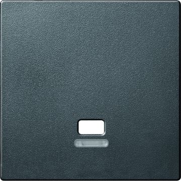 Merten by Schneider Electric systeem M centraalplaat met controlevenster voor trekschakelaar - antraciet (MTN3380-0414)